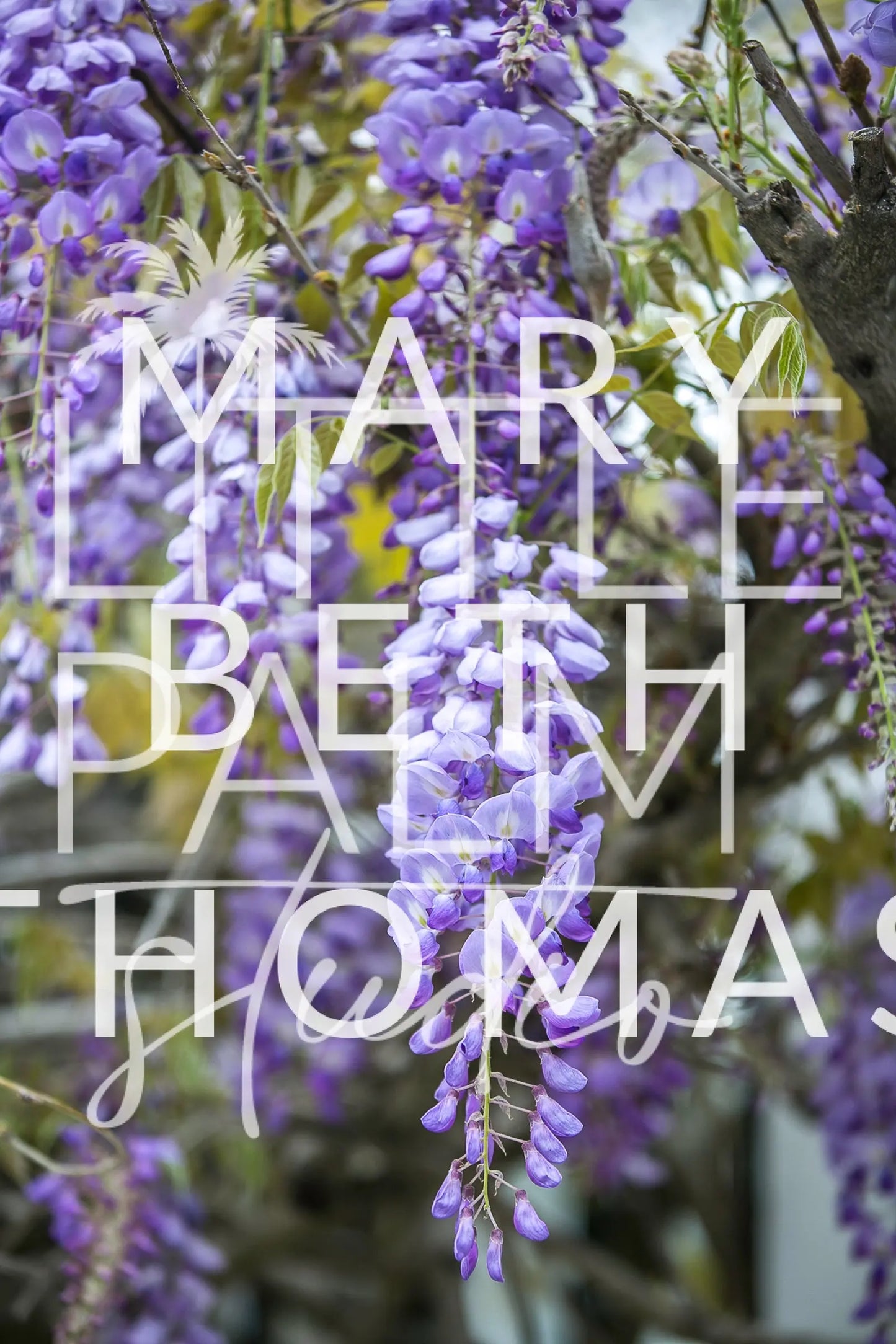 Charleston Charm - Wisteria 1 Mary Beth Thomas