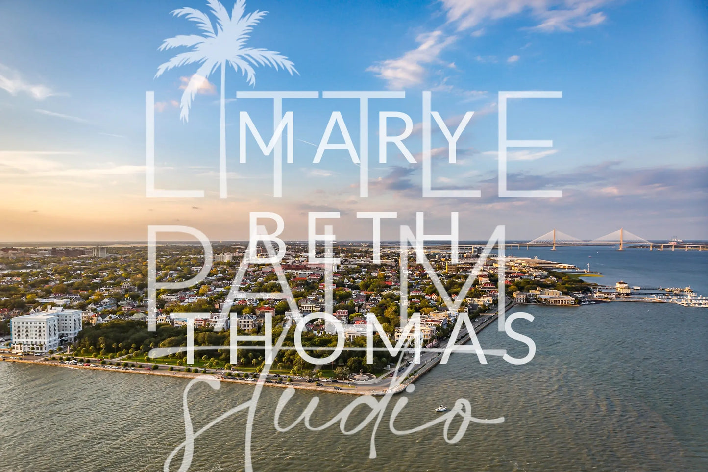 Charleston Peninsula 2 - Premium Mary Beth Thomas