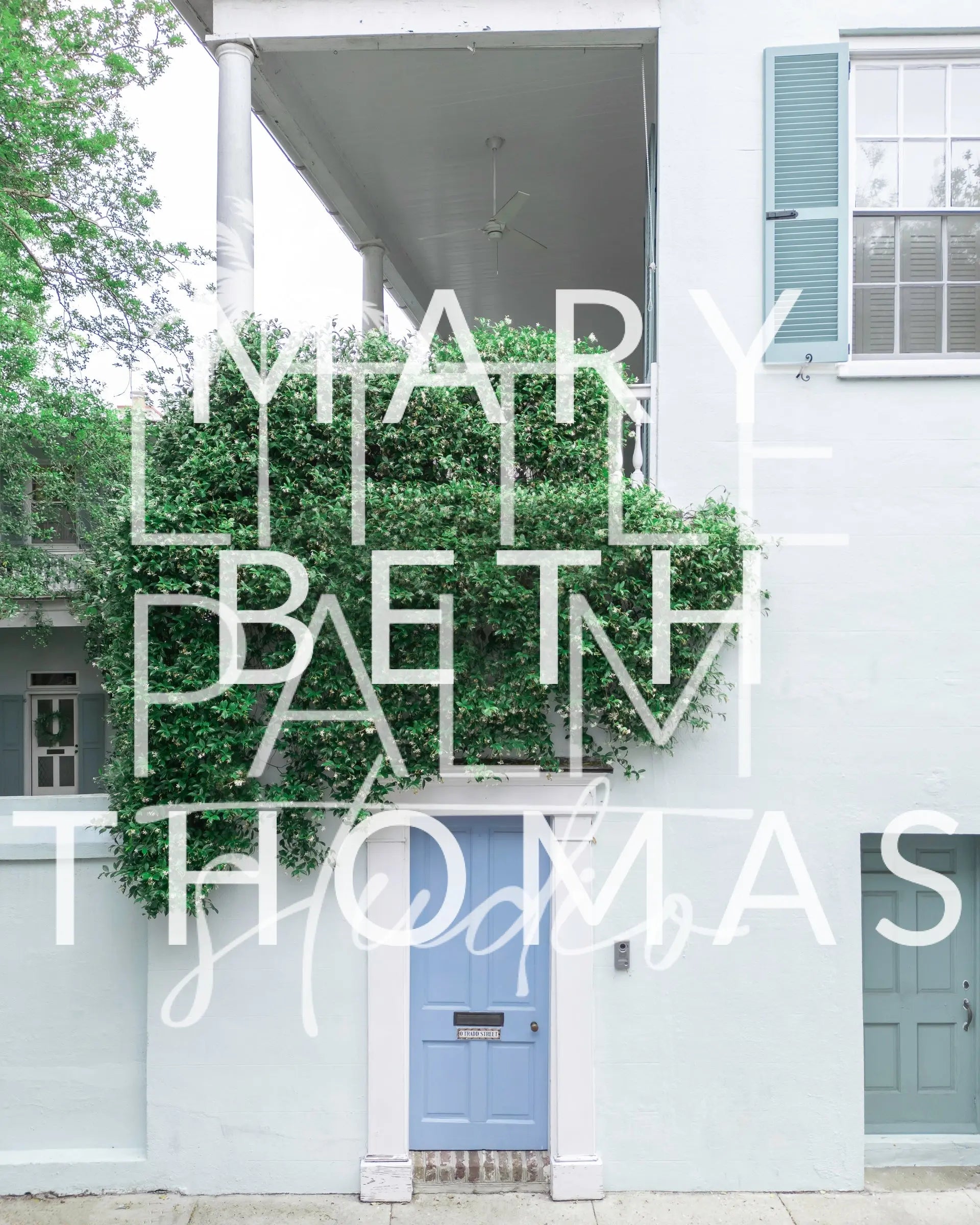 Charleston Charm - Charleston Doors - Zero Tradd Mary Beth Thomas