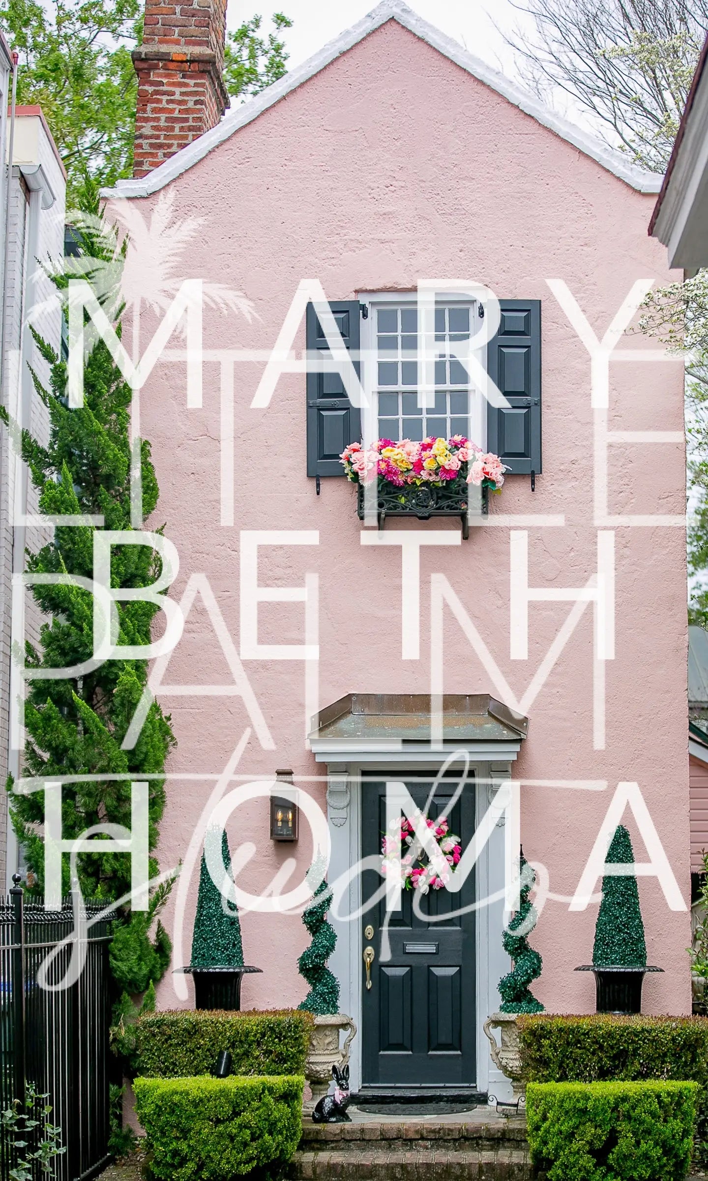 Charleston Charm - Streets and Strolls 11 Mary Beth Thomas