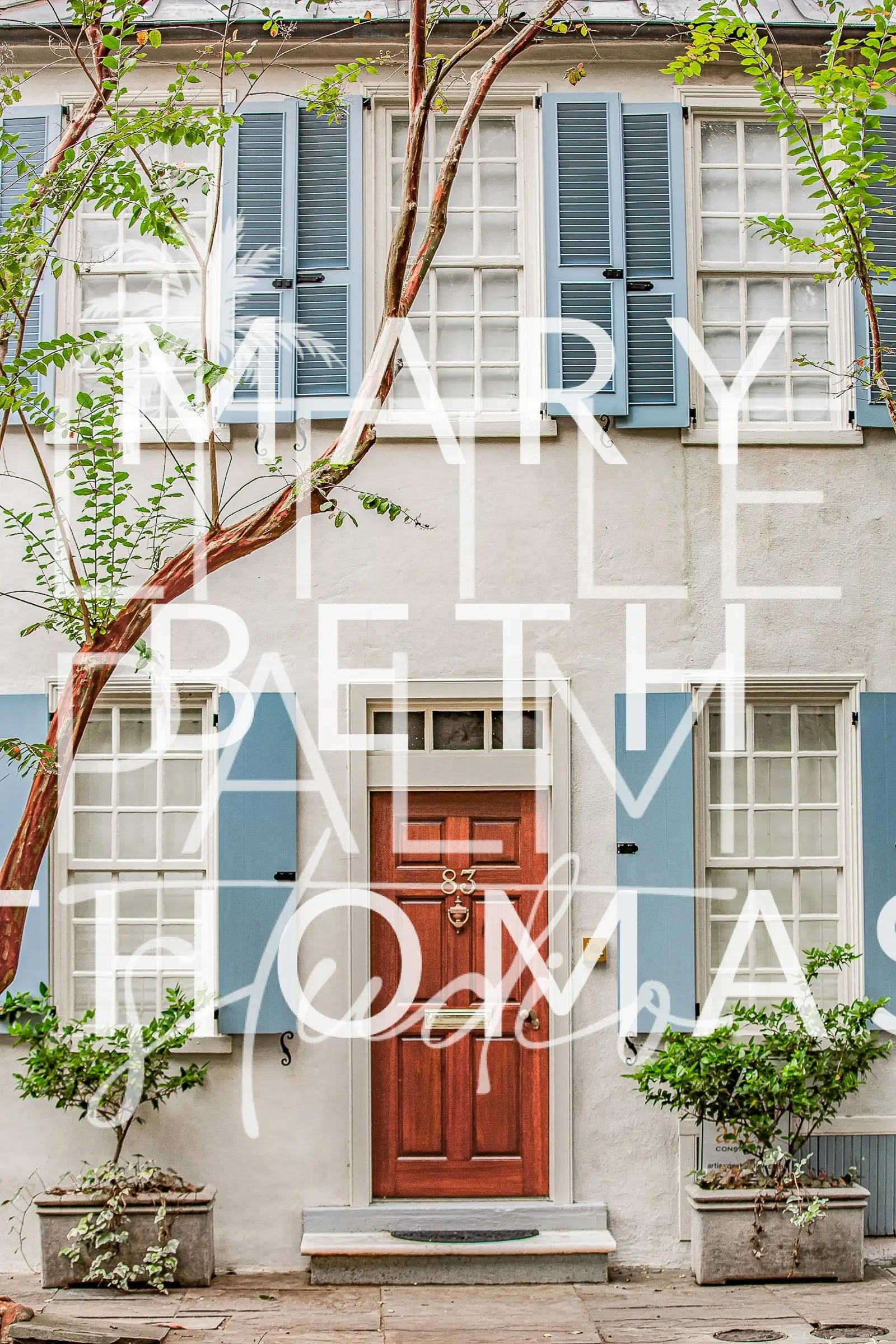 Charleston Charm - Streets and Strolls 5 Mary Beth Thomas