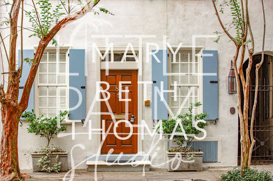 Charleston Charm - Streets and Strolls 6 Mary Beth Thomas