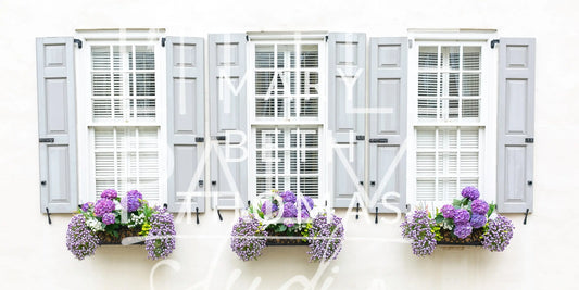 Charleston Charm - Window Box 4 Mary Beth Thomas