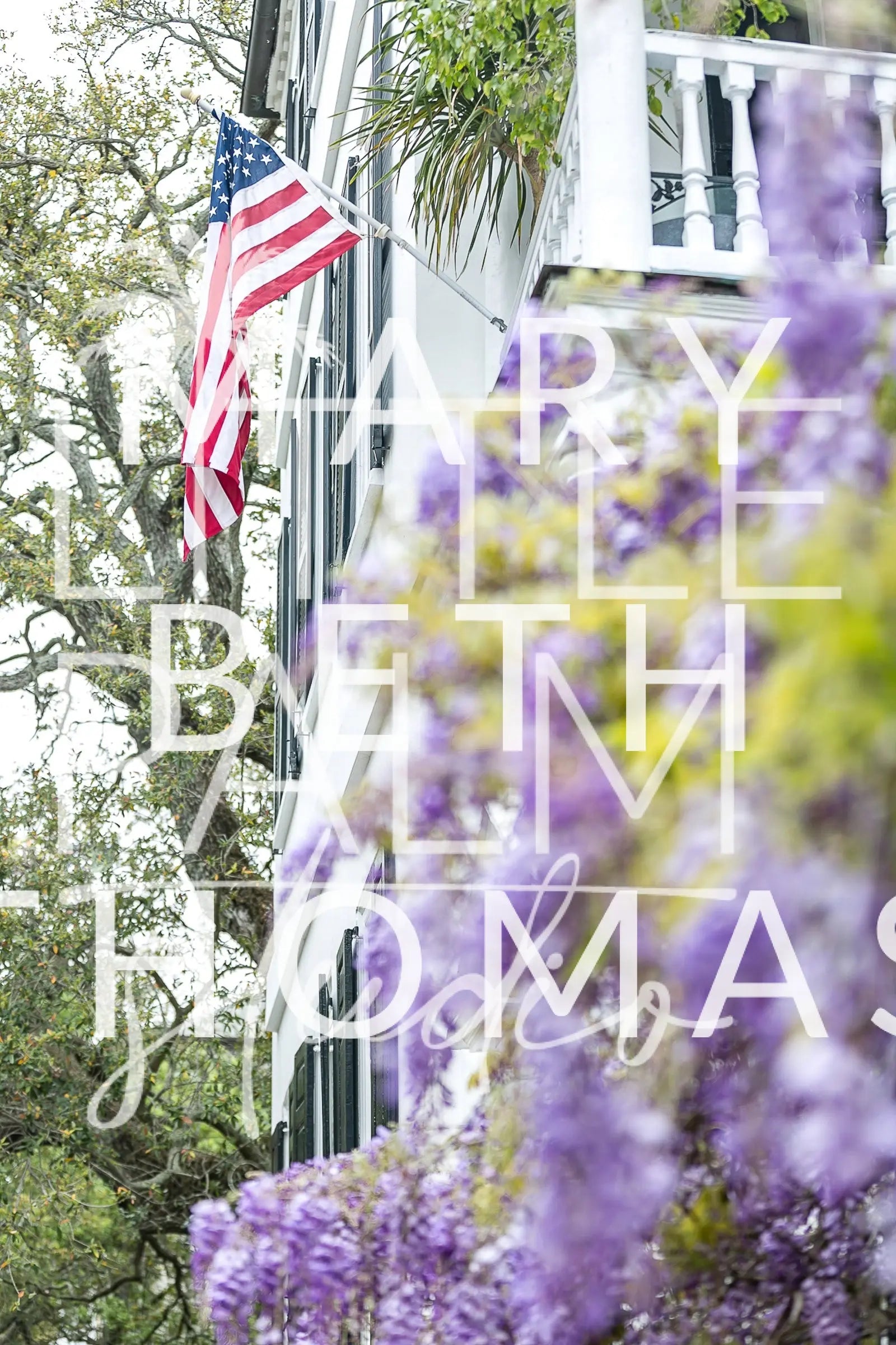 Charleston Charm - Wisteria 3 Mary Beth Thomas