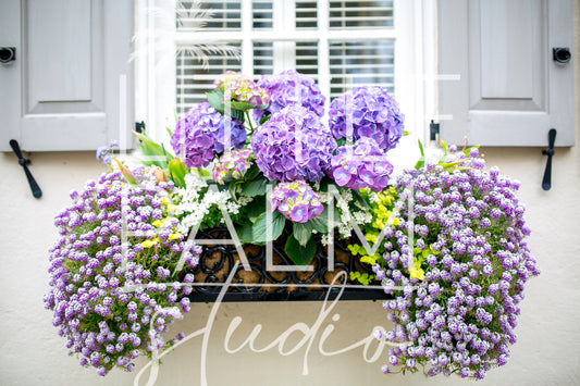 Charleston Charm - Window Box 3