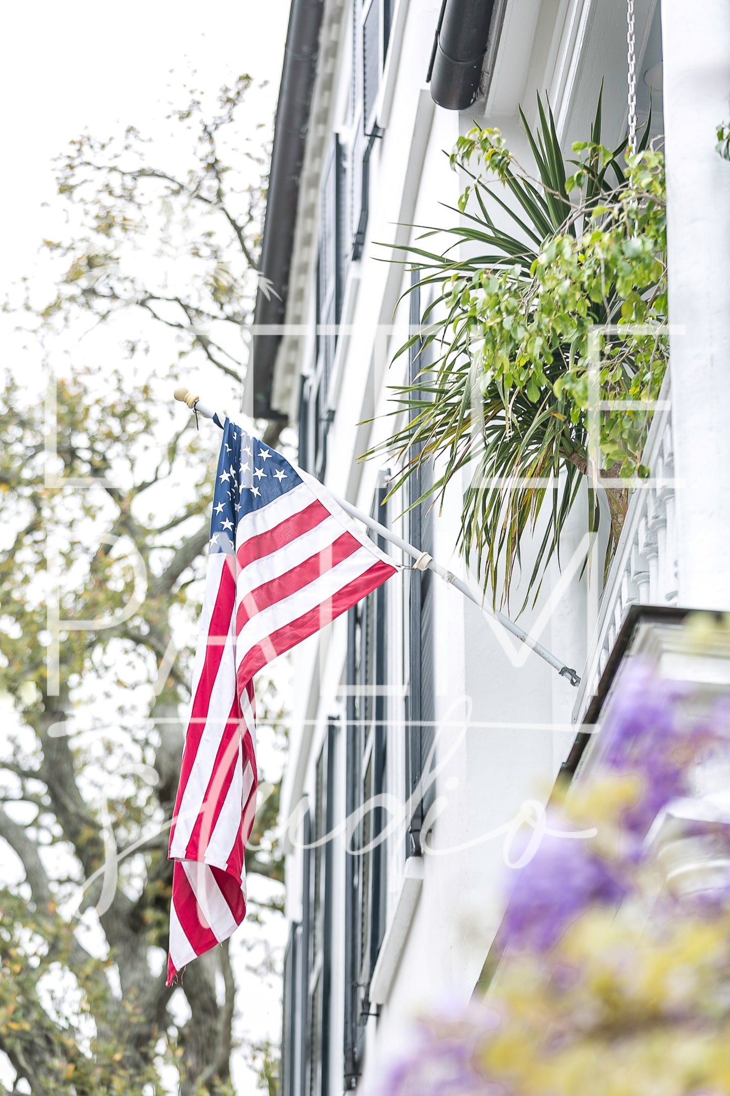 Charleston Charm - American Flag 1