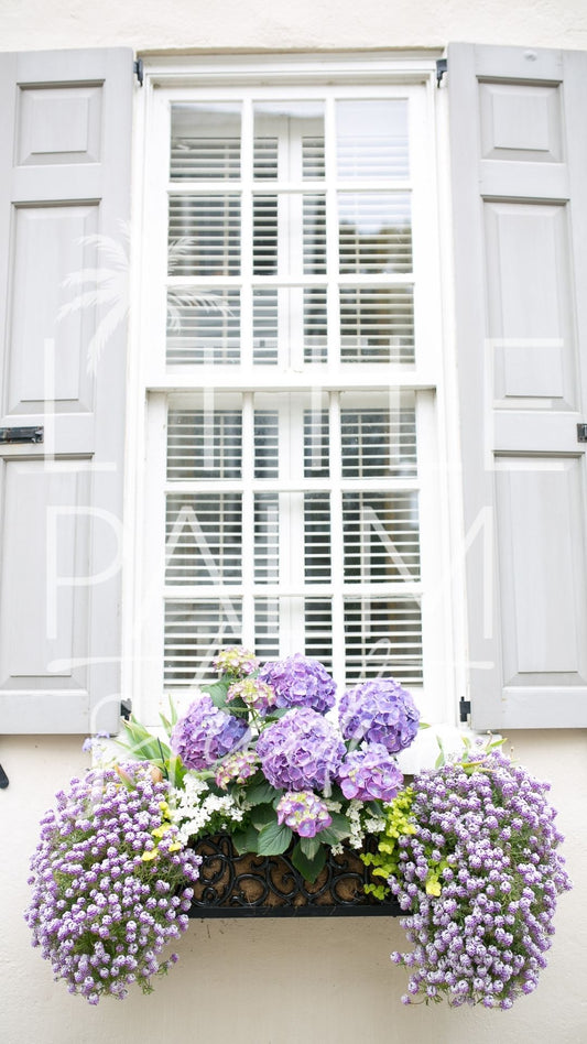 Charleston Charm - Window Box 4 Vertical