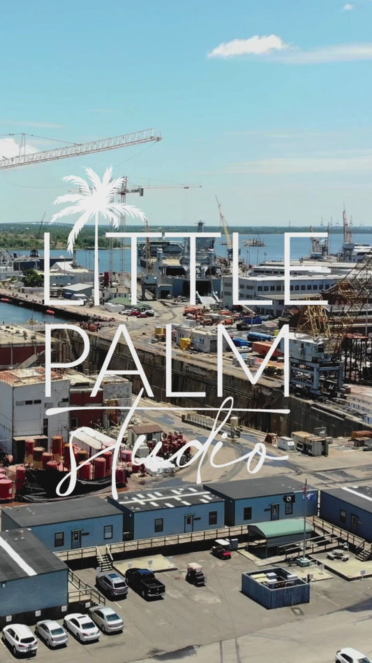 Charleston Ports Drone Video